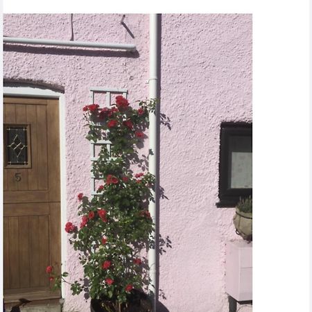 Red Rose Cottage Cheddar Esterno foto
