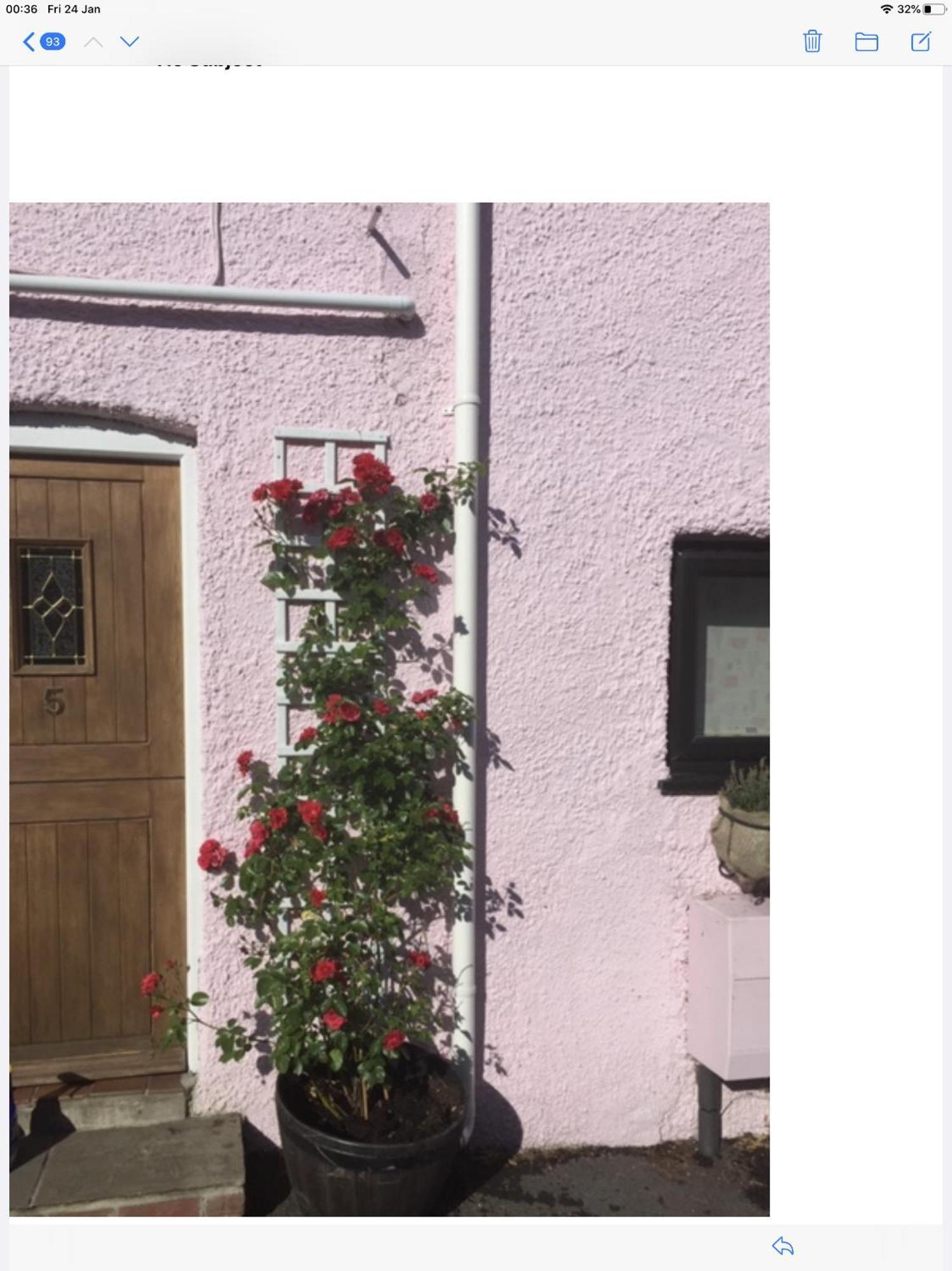 Red Rose Cottage Cheddar Esterno foto